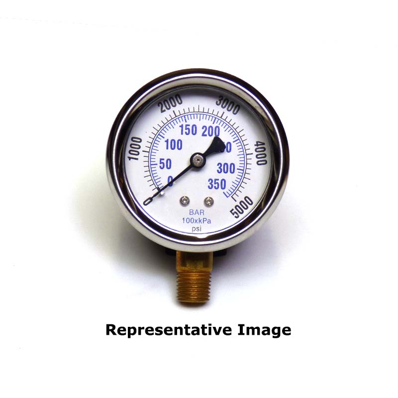 Example Image